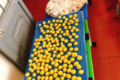 Hoạt động trải nghiệm bé làm bánh mừng tết trung thu lớp lá 1 năm học 2022-2023