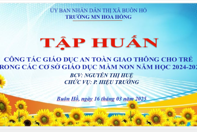 Tập huấn công tác GD an toàn giao thông cho trẻ trong các CS GDMN năm học 2024 – 2025